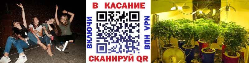Цена Сенгилей COCAIN Амфетамин kraken зеркало Конопля МЕФ A-PVP Гашиш