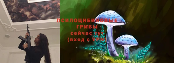 a pvp Алексеевка